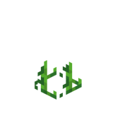 Рост картофеля.png